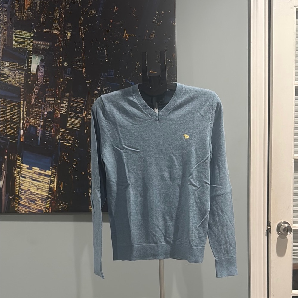 Men's Blue V-Neck Sweater
